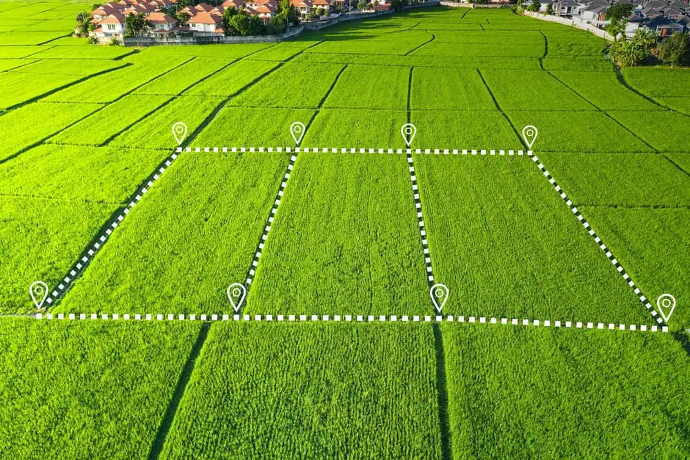 Aerial view of a green rice paddy field, meticulously divided into three rectangular plots outlined in white, reminiscent of a skilled land surveyor's precision. Each plot boasts location marker icons, with houses dotting the background beneath a clear blue sky.